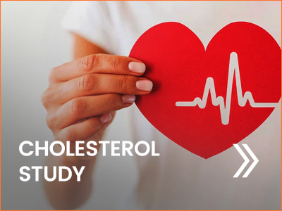 Cholesterol Study